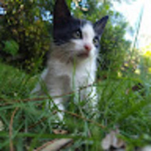 Meet your Posher, Laurelle